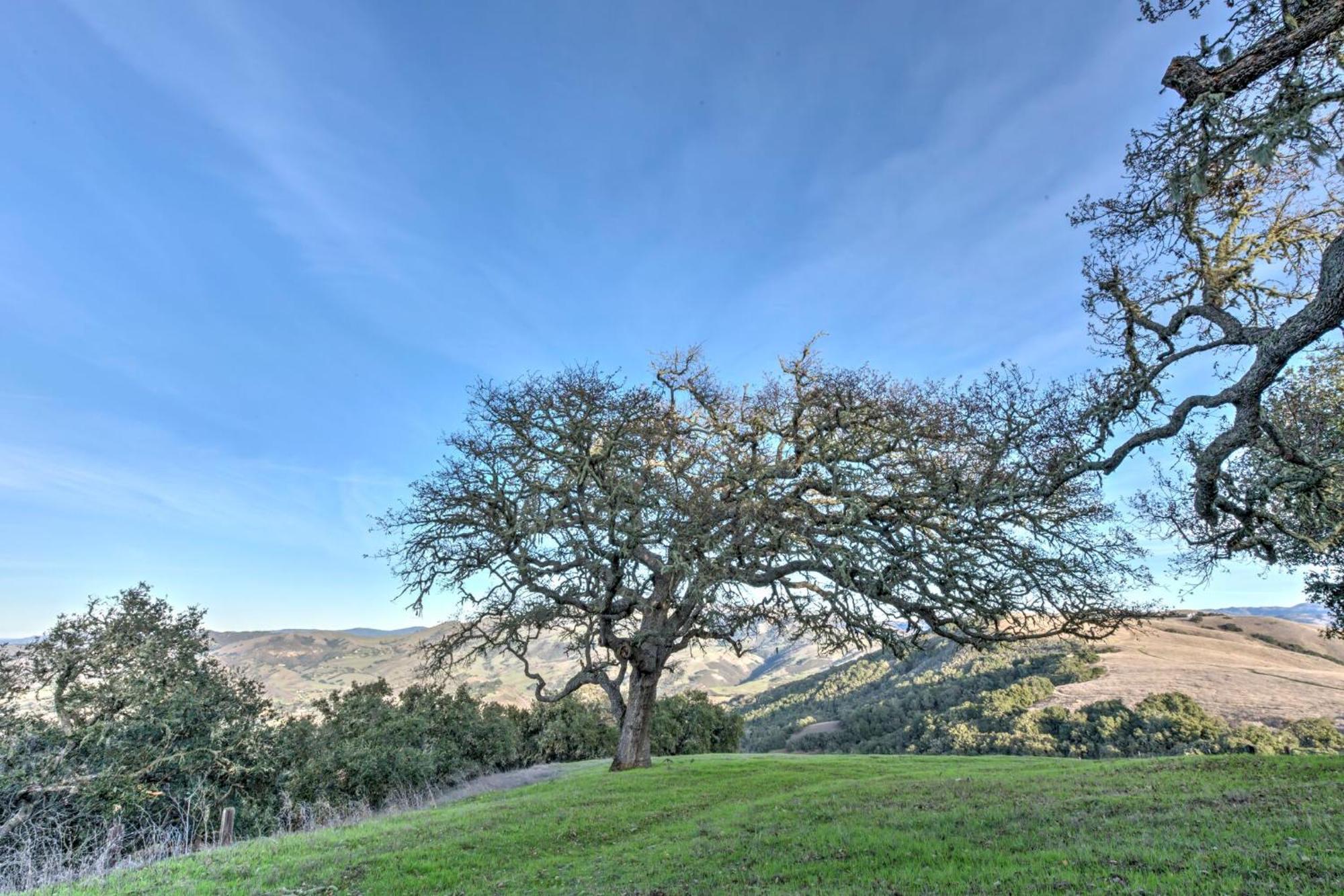 Lx37 Weathertop Ranch In Carmel Wine Country Carmel Valley Ngoại thất bức ảnh